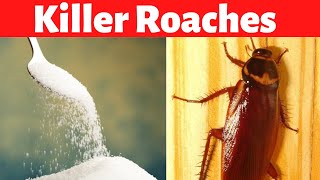 Killer Ways To Get Rid Of Roaches Without Harming You