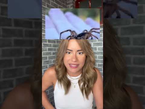 o trabalho MAIS perigoso