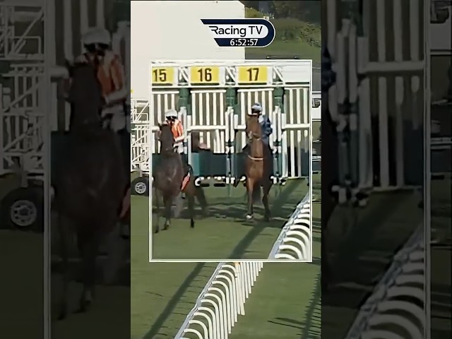 Thumbnail for Post ID: Kv-CoQeaWjw