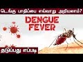 டெங்கு நோயின் அறிகுறி என்ன..? | Dengue Fever Symptoms..? | Doctors Tips டெங்கு நோயின் அறிகுறி என்ன..? | Dengue Fever Symptoms..? | Doctors Tips