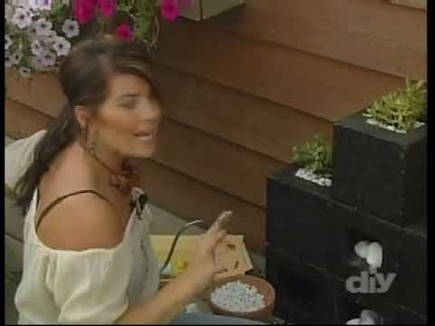 B Original With Michele Beschen