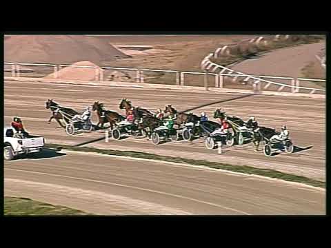 Trotto 21/02/2020 - 2ª corsa