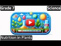 Grade 7 Science Nutrition In Plants Free Tutorial CBSE ICSE State Board