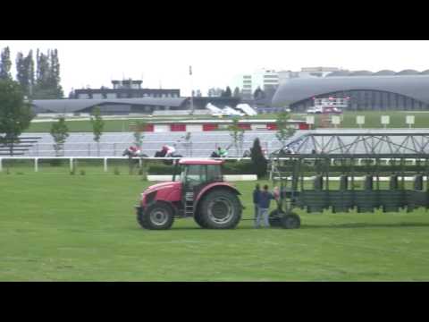 BR, 20. 5. 2017, 9. dostih - Cena pořadatele TJ BRNO DVORSKA