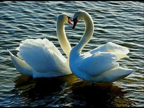 Ce inseamna sa iubesti