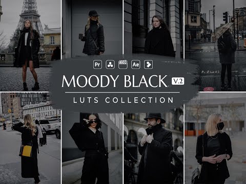 Moody Black Video LUTs | Moody Video LUTs | Influencer LUT | Dark LUT | Video Preset | VN LUT