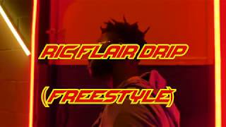 Ric Flair Drip (FreeStyle)