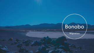 Bonobo : Figures