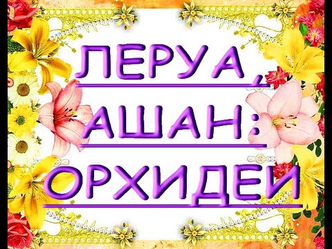 ОРХИДЕИ в ЛЕРУА и АШАНЕ:ЗАВОЗ мини орхидей,29.05.20,Самара,ТЦ "Космопорт".