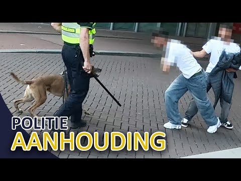 Politie | Aanhouding verdachten diefstal | Negeren bevel politie