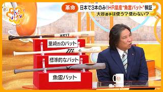 [分享] 日本晨間節目詳細解析魚雷球棒