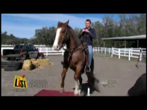 The LIST segment featuring Tommie Turvey, horse trainer of Clydesdales Superbowl 2013