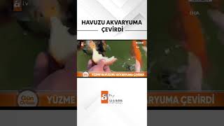 Yüzme havuzu diye yapmıştı akvaryuma çevirdi, 147 cins balık besliyor #atvhaber 