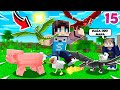 KITA MELATIH NAGA KITA BIAR KUAT DI MINECRAFT TERKUTUK STRESMEN MOD SURVIVAL 15