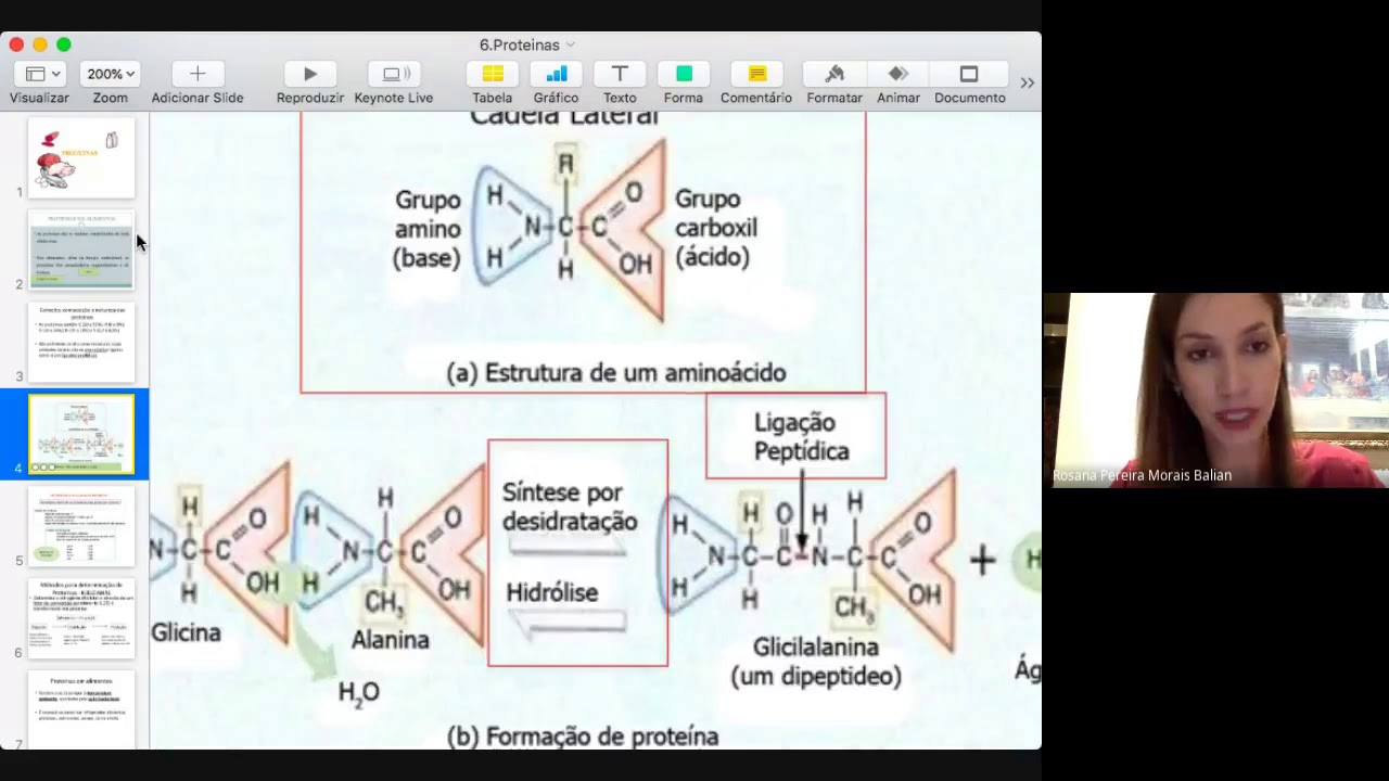 Proteínas - Bromatologia