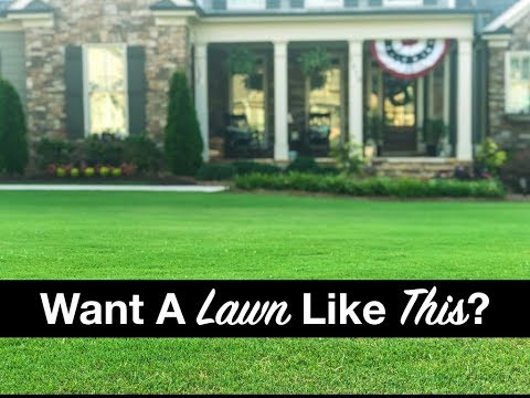 3 SUMMER LAWN CARE TIPS || The Southern Reel Mower
