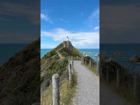 Nugget Point Lighthouse adventure | The Catlins | South Island | New Zealand