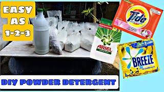 DIY Powder Detergent for Business 2022 | Soap Making Business | Cristy