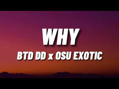 BTD D.D X OSUExotic - WHY  | Lyric Video |