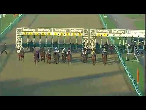 Encrypted Wins The Betway Golden Rose Stakes