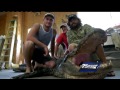 13 foot alligator caught in Pensacola 