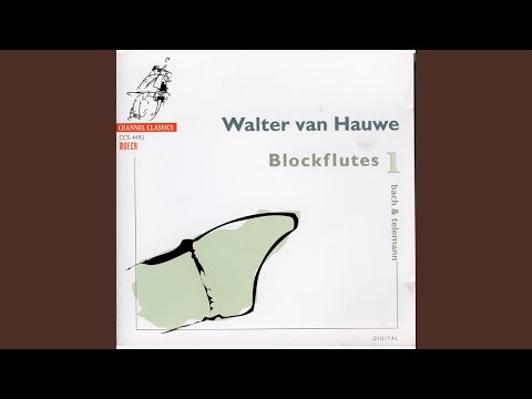 Partita No. 5 in E Minor, TWV 41:e1: I. Andante