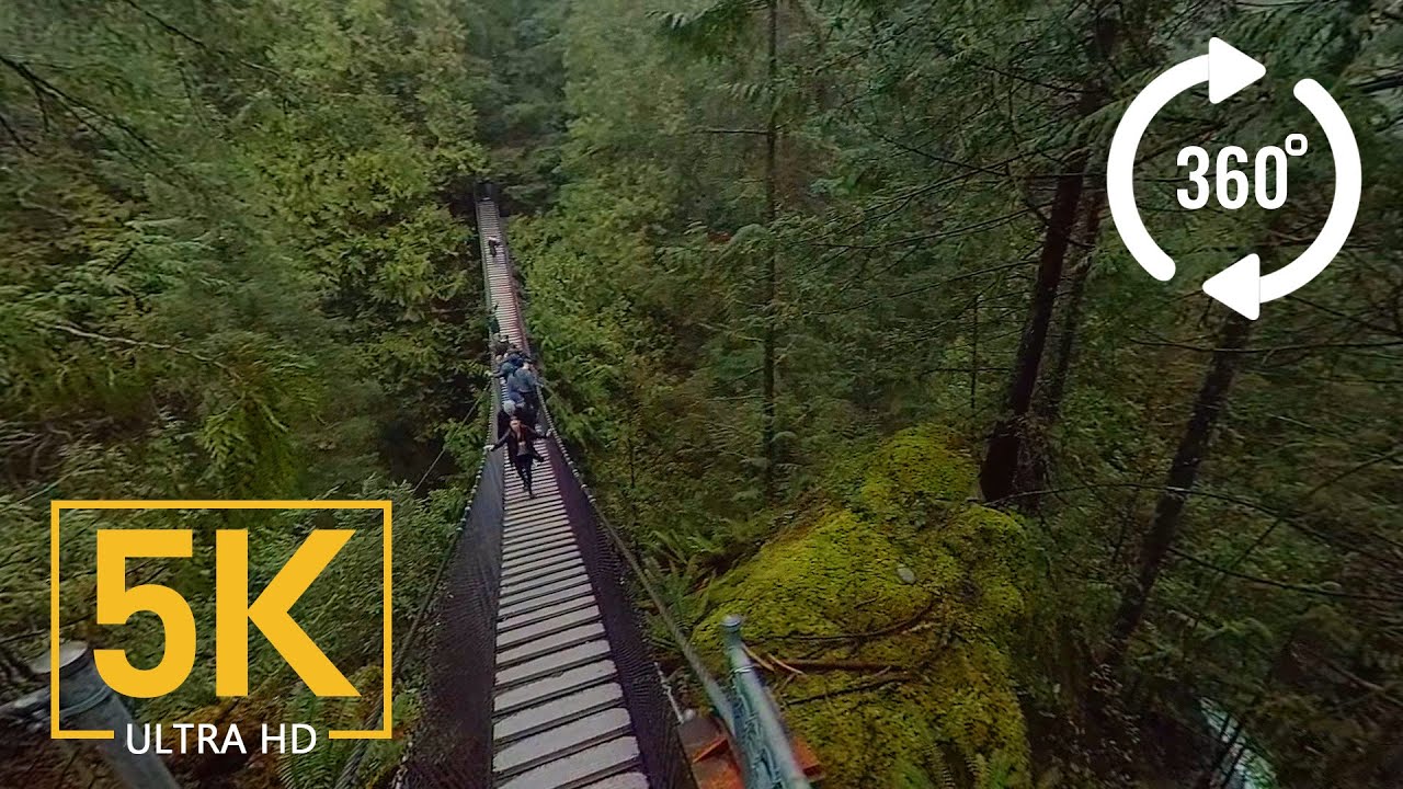 Virtual Nature Relaxation - VR 360° 5K Video - Creek Canyon Trail, BC, Canada - YouTube