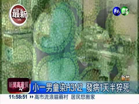 小一男童染H3N2 發病1天半猝死