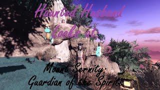 Haunted Husband Looks at Mount Serenity: Guardian of the Spirits (PC)