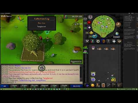 OSRS 84 Farming Tangleroot Pet