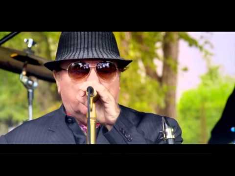Van Morrison & Chris Farlowe Born to Sing (Live at Van's 70th birthday)