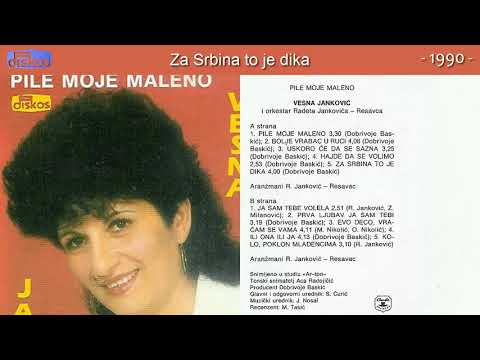 Vesna Jankovic Draguljce - Za Srbina to je dika - (Audio 1990)