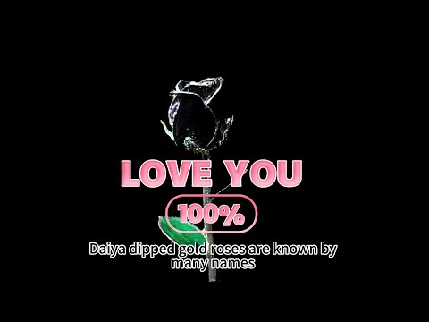 Silver Plated Rose Black Star Glitter Pod Look#christmasgift #valentinesdaygift