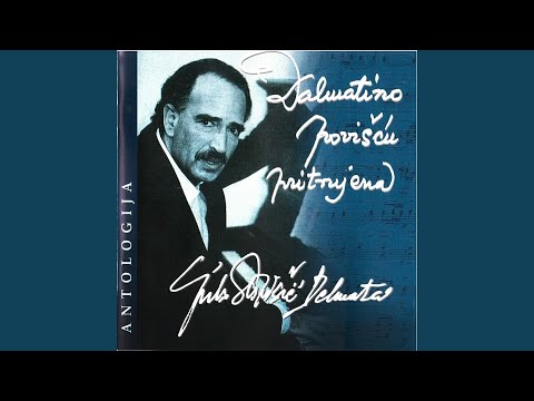 Dalmatino Povišču Pritrujena