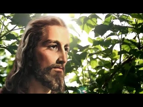 Pozwól mi Panie - Ks. Bogdan Skowroński