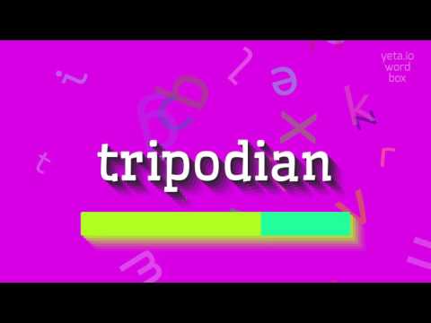 HOW TO PRONOUNCE TRIPODIAN?