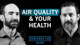 How Poor Air Quality Affects Your Health | Dr. Michael Snyder & Dr. Andrew Huberman