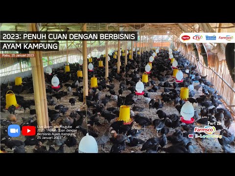, title : 'Farmsco E Learning Part #26 : 2023 - Penuh Cuan Dengan Berbisnis Ayam Kampung'