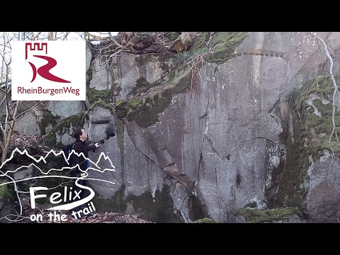 RheinBurgenWeg 7: 23km von Miesenheim bis Bad Breisig, Namedy mit römischen Steinbruch "Hohe Buche"
