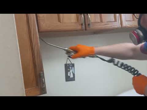 Kitchen Usurped by Cockroaches in Asbury Park, NJ