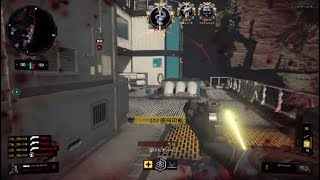 再掲　bo4 final montage