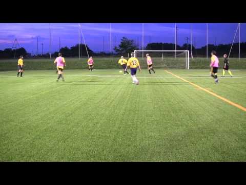 SUMMER LEAGUE 2014 (GROUPAMA ASSIC. SARONNO - LA BENVENUTA)