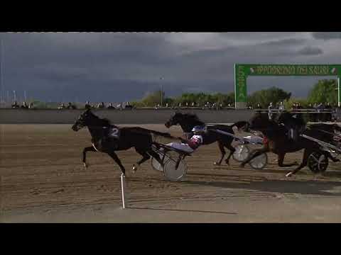 Ippodromo dei Sauri -  corsa amatoriale del 29.9.2022