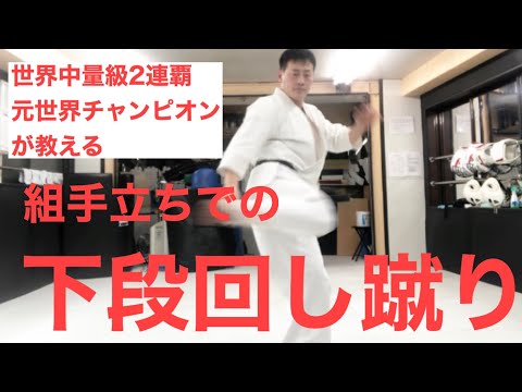 【下段回し蹴り・ローキック】の基本 世界チャンピオンが教える　極真空手講座　【Karate kyokushin】