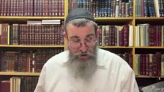 מאמר נסטה לייריחה נס לי-היסנוס 5736 מוגה, כיתה ה', רבי יוסי פלטיאל 5782