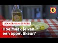Deze jonge distilleerder stookt zijn eigen likeur | Lekker van streek