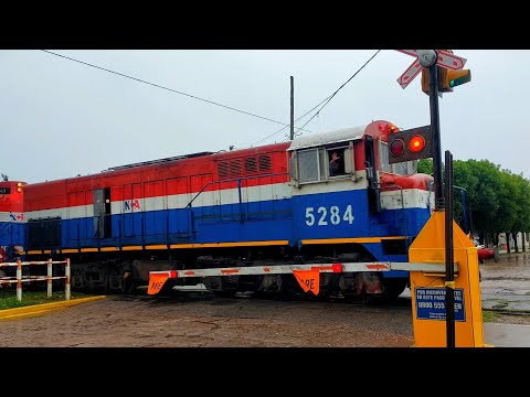 [4K] Tren cargado de NCA con destino a Rosario pasando por Marcos Juárez!!!!!!