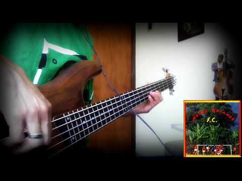 Os Pingo Da Chuva - Os Novos Baianos