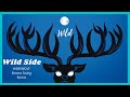 Wild Side (Electro Swing Remix) from 