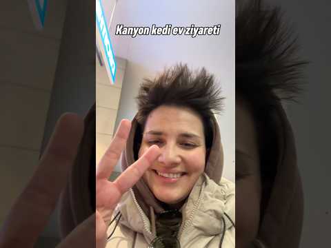 Viral Kanyon kedi ev ziyareti #kedi #sokakhayvanları